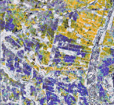 Img19.gif